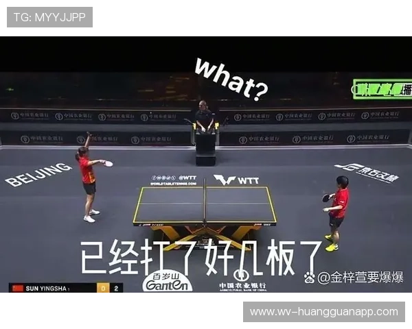 比赛中断规则：哪些情况导致比赛暂停与恢复？